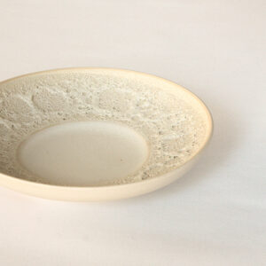 plate | focus shallow | T008