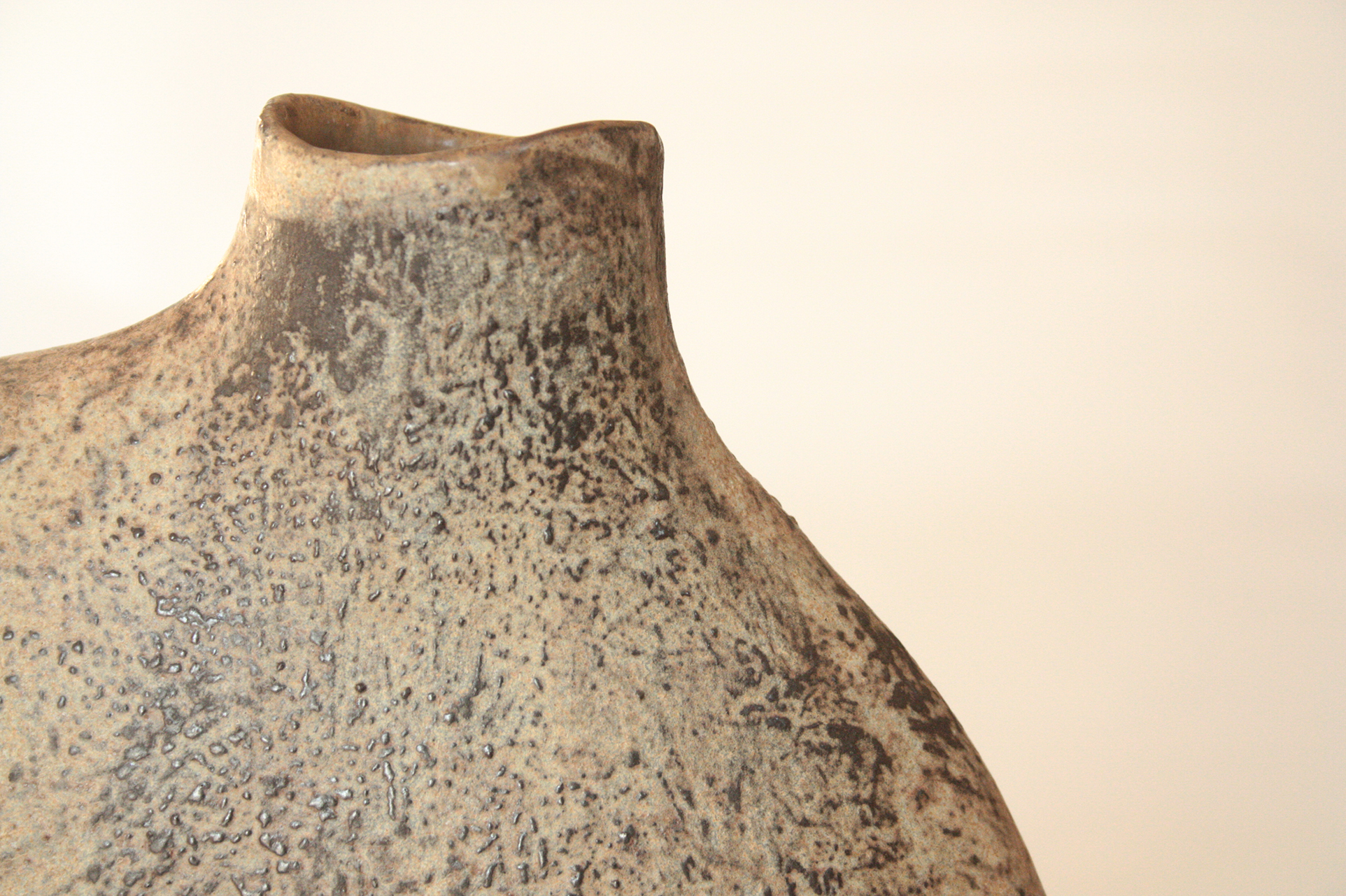 vase bottle | V002 - Image 6