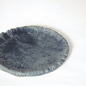 cracked plain plate | T1