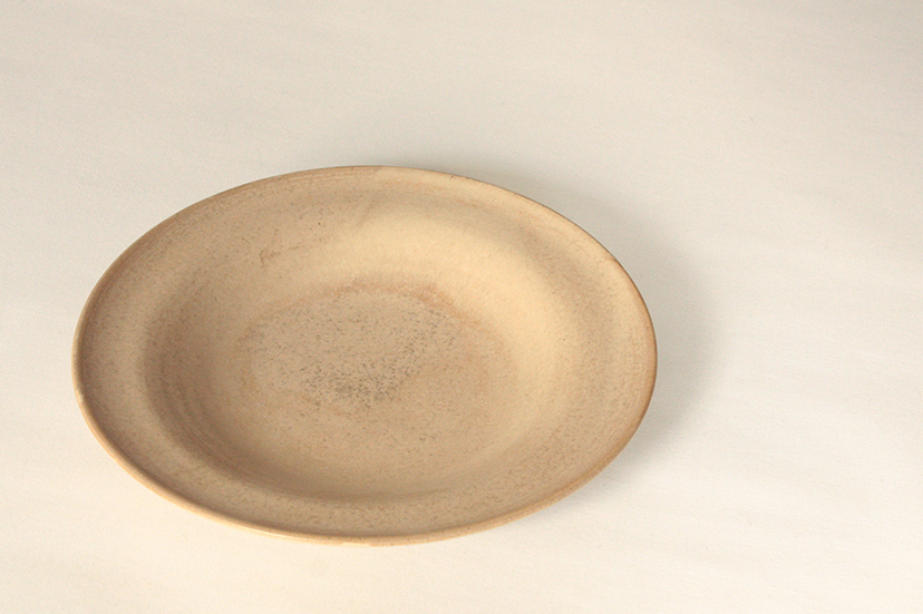 plate shallow | T041